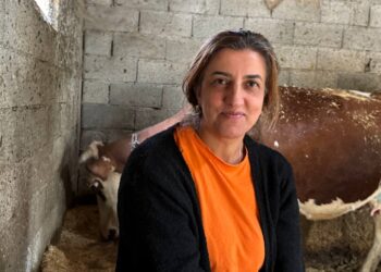 ‘Ez gurîya mi beşe kerd, eke cinî biwazê, beşe kenê’