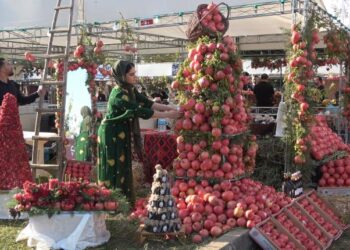 Li Helebceyê Festîvala Hinaran