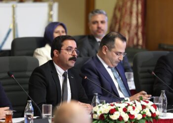 Serhat Çakmak: Me mafê hêviyê û mafên gelê Kurd pêşniyarî komîsyonê kir