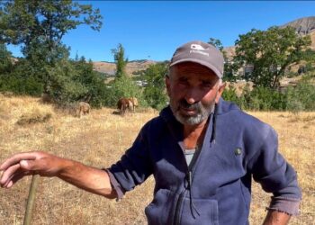 Hesen Tunç: Wa aştî bêra, ma şîme dewa xo