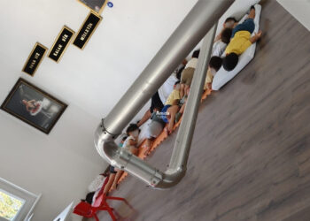 Amed de gedegehêk de domanan ra teda yeno kerdene