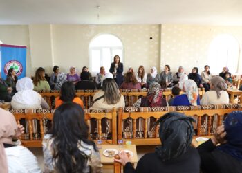 Licê de pêdîyayîşê cinîyan ame viraştene