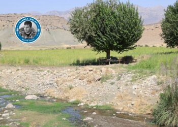 Zevî li benda komuna çandiniyê ye