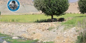 Zevî li benda komuna çandiniyê ye