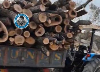 Tevî ‘têkoşîna’ walî jî cerdevan talanê dikin!