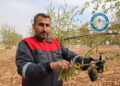 Vera KHK’yî cuyêka alternatîfe awan kerde