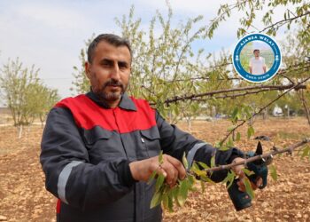 Vera KHK’yî cuyêka alternatîfe awan kerde