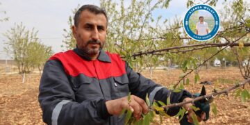 Vera KHK’yî cuyêka alternatîfe awan kerde