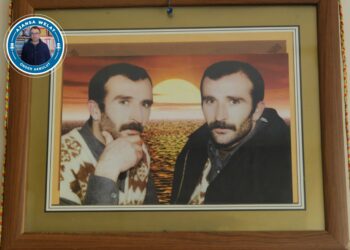 Kadri Şitilay: Bi goreyê heq û edaletî ney bi keyfî têgêrenê