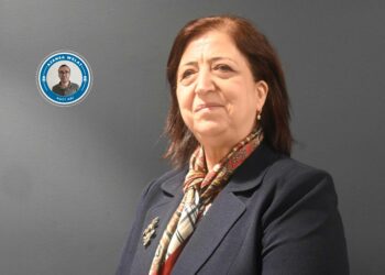 Nûnera MSDê Sînem Mihemed: Em nûnertiya Sûriyeya demokratîk dikin