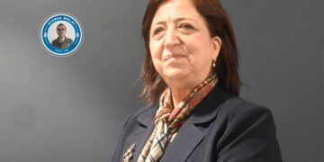 Nûnera MSDê Sînem Mihemed: Em nûnertiya Sûriyeya demokratîk dikin