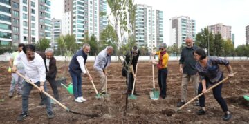 Koma Amed li Amedê dar çandin