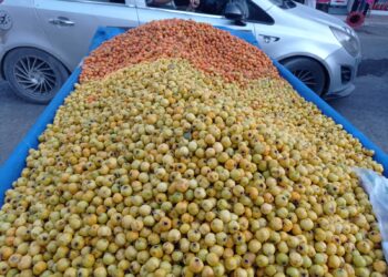 Givîj ji çiyê daketin bajêr