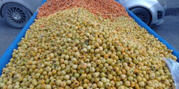 Givîj ji çiyê daketin bajêr