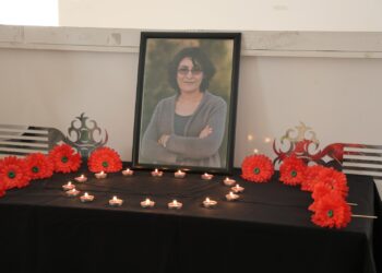 Nagîhan Akarsel li Şirnex hat bibîranîn