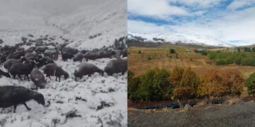 Kanîreş de vewra ewiline ya emserre varaye