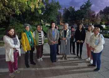 Jinan li ber Meclisê daxuyanî da: Jin nebin kirde pêvajo bi ser nakeve