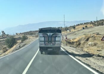 Cerdevan bidizîka êzingan dibin difiroşin!