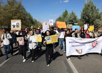Xwendekarên Dîcleyê ji bo Rojîn Kabaîşê meşiyan