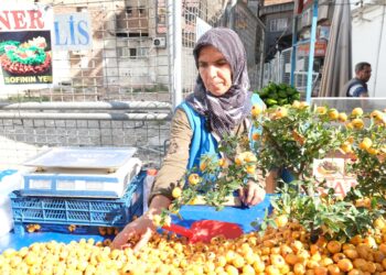Givîj dermanê gelek nexweşiyan e