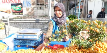 Givîj dermanê gelek nexweşiyan e