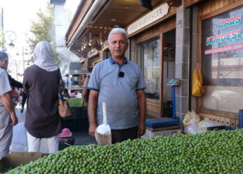 Li Amedê dema firotina zeytûnên şîn e