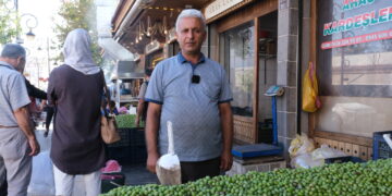 Li Amedê dema firotina zeytûnên şîn e