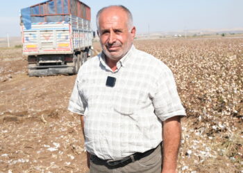 Cotkarên pembû ji bihayê pembû bi gazinc in