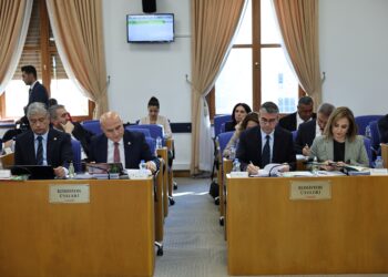 Ayşegul Dogan: Na butçe seba aştî nê, seba şerî yena hedrekerdene