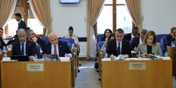 Ayşegul Dogan: Na butçe seba aştî nê, seba şerî yena hedrekerdene