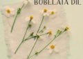 ‘Bobelata Dil’ di weşanê de ye