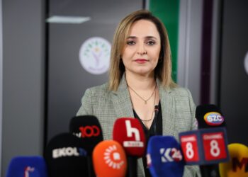 Ayşegul Dogan: Gere qanûnê ke lazim ê bivejîyê û rayîrê sîyasetê demokratîkî abîyo