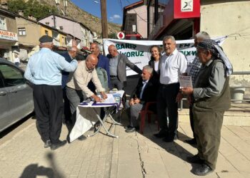 Li Elkê standa îmzeyan