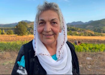 ‘Seweta nê welatî ez peyser ama’