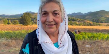 ‘Seweta nê welatî ez peyser ama’