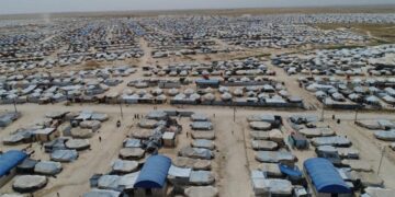 Di 2 rojan de 895 kes ji kampa Holê derketin