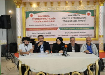 Komxebata Kurdkî roja dîyine de domyena: Ziwanê domanan ziwanê ameyoxî yo