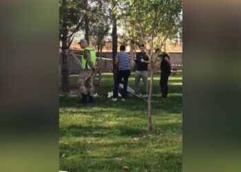 Li Qoserê ÎHAyek ket xwarê