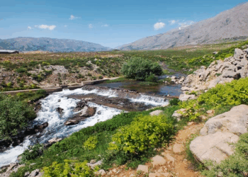 Statuyê sîtî yê Çimeyanê Munzurî ame pawitene