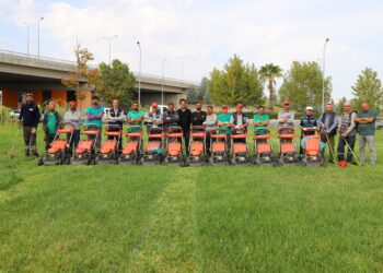 Pêroyê şaristanî terişnayîşê daran dest pêkerd