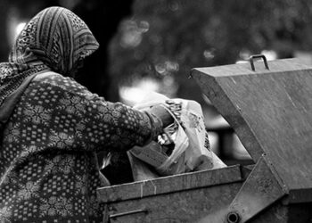 Roja Dinya ya Têkoşînî ya Vera Feqîrîye: Problemêko xorînî