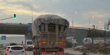 Di ‘Roja Çandina Daran’ de dar birîn!