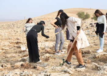 Jinan li dijî talana xwezayê berû çandin