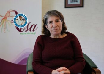 ‘Yekane hêza ku jinan ji tundiya mêran biparêze xwe birêxistinkirin e’