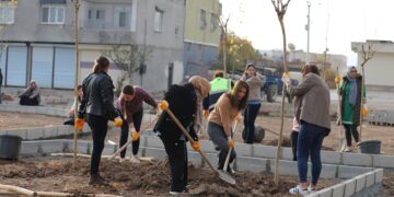 Ji bo 25ê Mijdarê dar çandin