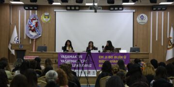 Halîde Turkoglû: Divê hemû alî ji bo aştiyê bixebitin