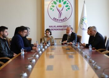 Keyeyê Rojîn Kabaîş DEM Partî zîyaret kerd