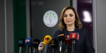 Ayşegul Dogan: Divê çûyina Girava Îmraliyê dereng nekeve