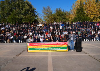 Beşdarê Deklarasyonî: Ganî dewlete heqê ziwanê Kurdkî qebul bika