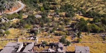 1994î de kamî na dewe kerde tal?